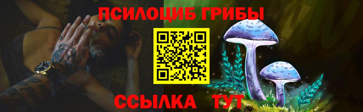 Галлюциногенные грибы Psilocybine cubensis  Вход с VPN  Советский  Галлюциногенные грибы Psilocybe 